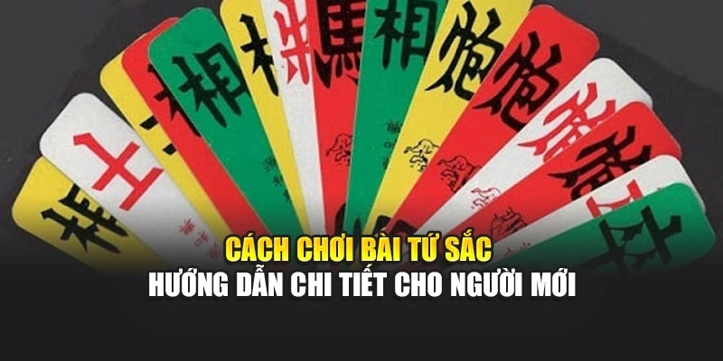 Cách Chơi Bài Tứ Sắc – Hướng Dẫn Chi Tiết Cho Người Mới