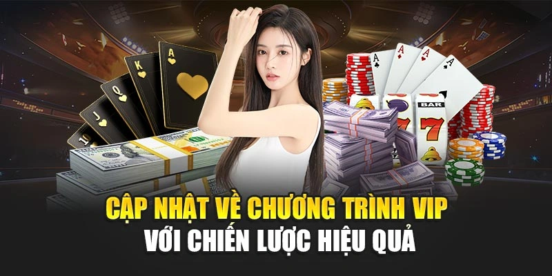 Cập nhật về chương trình VIP với chiến lược hiệu quả