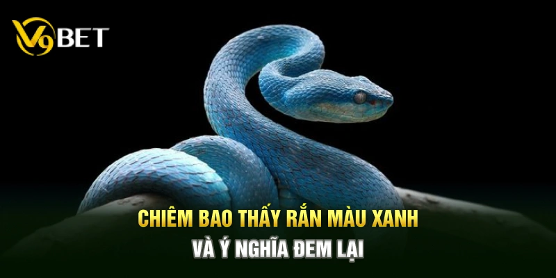 Chiêm bao thấy rắn màu xanh và ý nghĩa đem lại